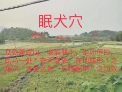 风水分析